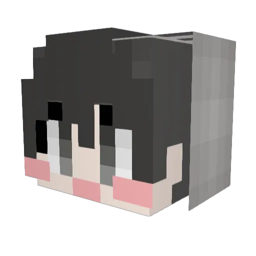Ming22 Minecraft avatar head, 3D render