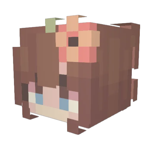 Ming2312 Minecraft avatar head, 3D render