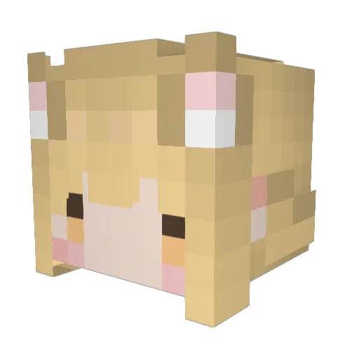 Ming5571 Minecraft avatar head, 3D render