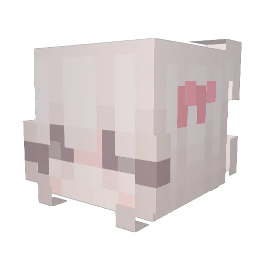 MingTian0505 Minecraft avatar head, 3D render