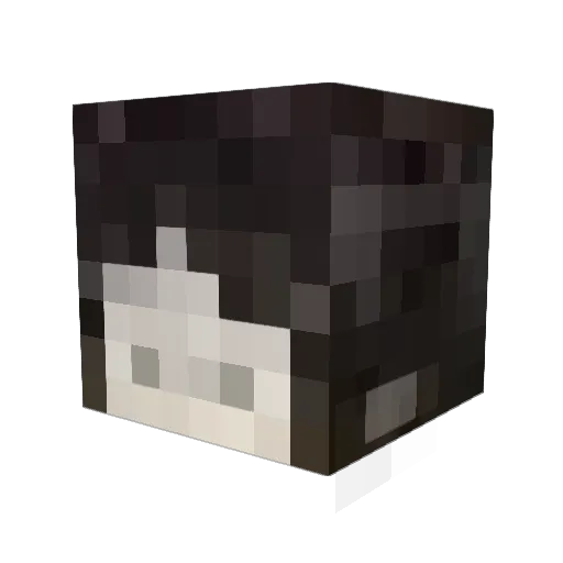 Mingis_XD Minecraft avatar head, 3D render