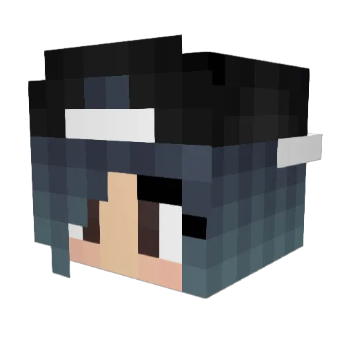 MingsterX123 Minecraft avatar head, 3D render
