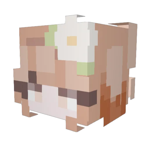 MingyuIsBae Minecraft avatar head, 3D render