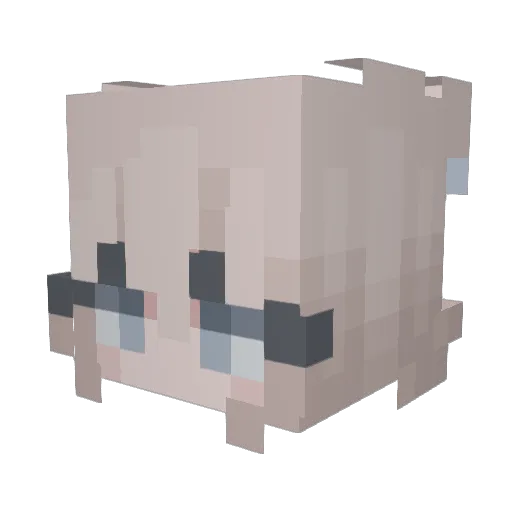 MingyuLover Minecraft avatar head, 3D render