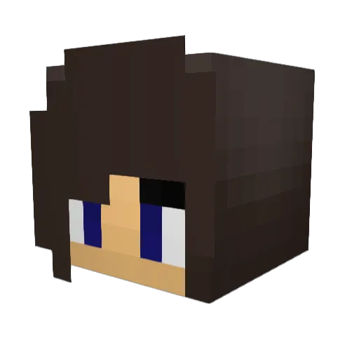 MiniBotFTW Minecraft avatar head, 3D render