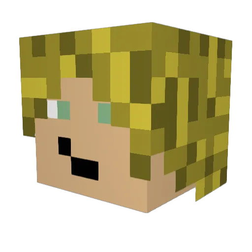 MiniBr0 Minecraft avatar head, 3D render