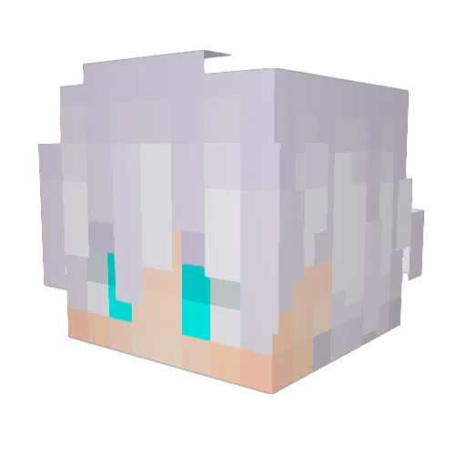 MiniColdMailman Minecraft avatar head, 3D render