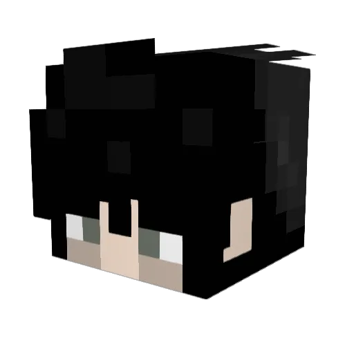 MiniDiggerTest Minecraft avatar head, 3D render