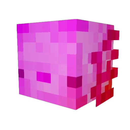 MiniGibbon90573 Minecraft avatar head, 3D render