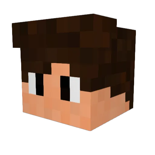 MiniHisoka Minecraft avatar head, 3D render