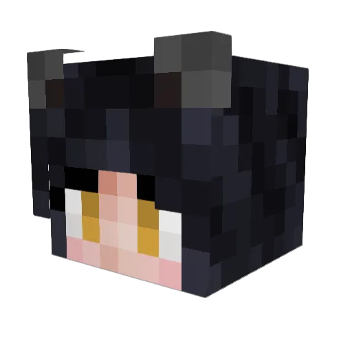 MiniKyle Minecraft avatar head, 3D render