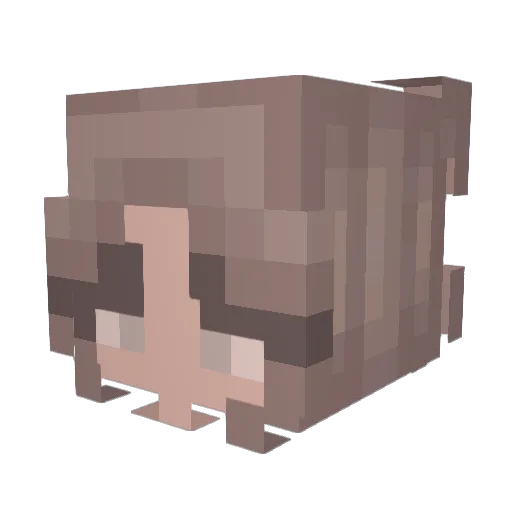 MiniLilyBear Minecraft avatar head, 3D render