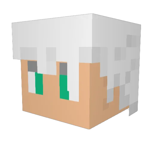 MiniMarsh Minecraft avatar head, 3D render