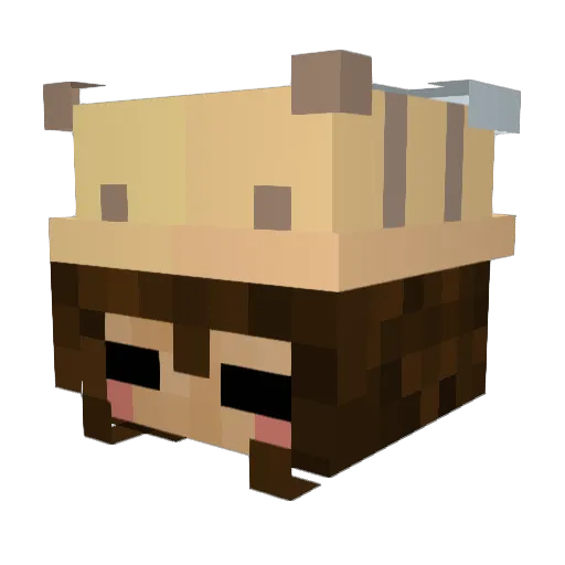 MiniMee_ Minecraft avatar head, 3D render