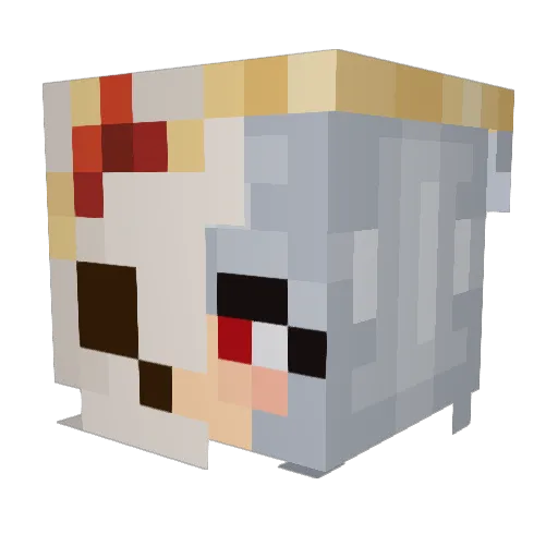 MiniMogwai Minecraft avatar head, 3D render