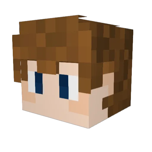 MiniNasi1305 Minecraft avatar head, 3D render