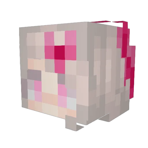 MiniNinja1216 Minecraft avatar head, 3D render