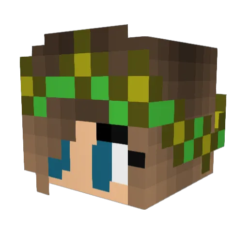 MiniOwl445 Minecraft avatar head, 3D render
