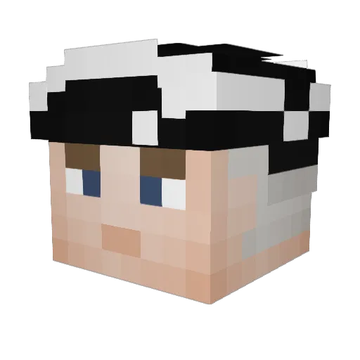 MiniPlay__ Minecraft avatar head, 3D render