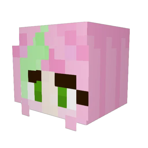 MiniPuncake Minecraft avatar head, 3D render