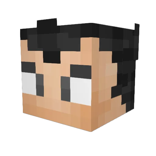 MiniStarCats Minecraft avatar head, 3D render
