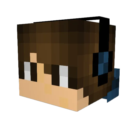 MiniTacoMan13 Minecraft avatar head, 3D render
