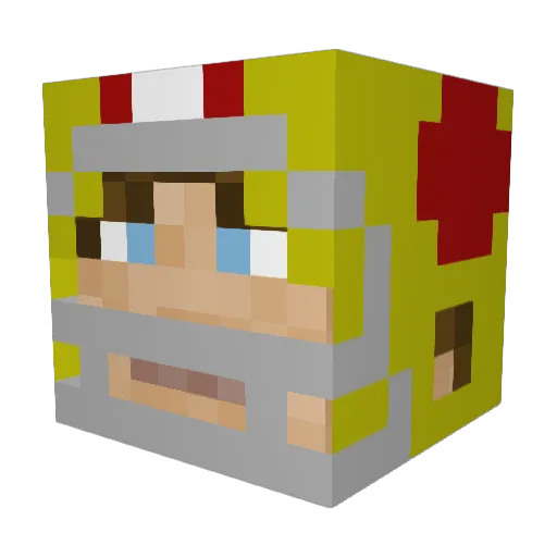 MiniTortoise Minecraft avatar head, 3D render