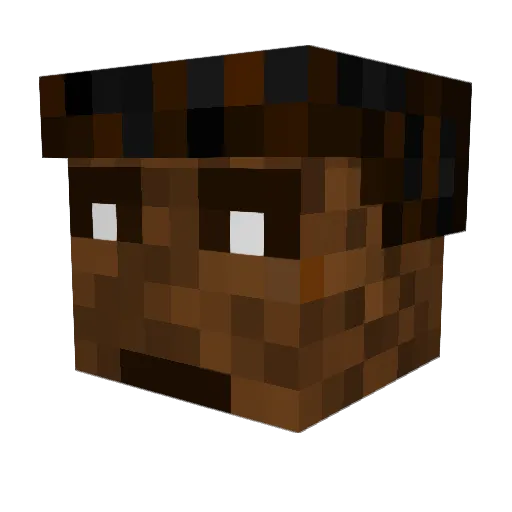 MiniTortoise_ Minecraft avatar head, 3D render