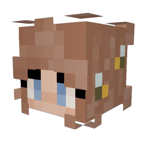 MiniTurtle34 Minecraft avatar head, 3D render