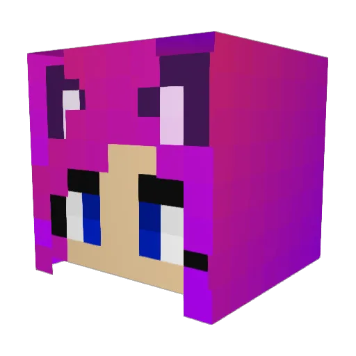 MiniVanDan Minecraft avatar head, 3D render