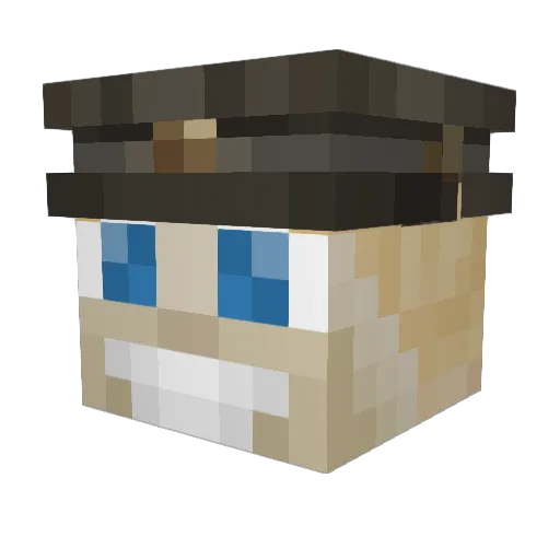 MiniWheats84 Minecraft avatar head, 3D render