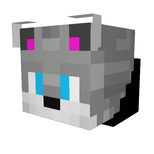 MiniWolf199 Minecraft avatar head, 3D render