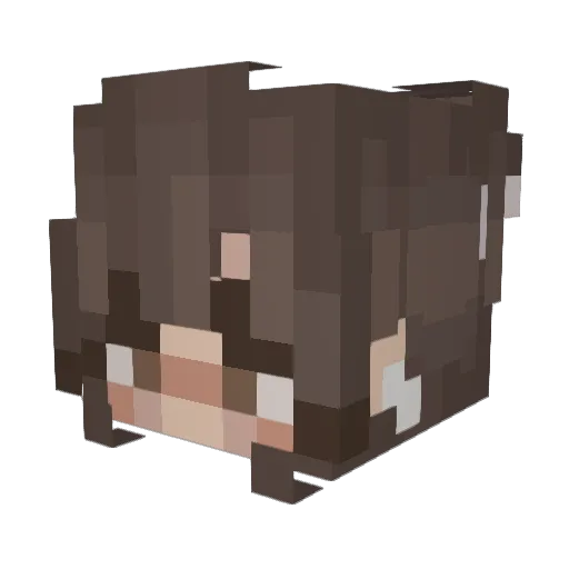 Mini_80 Minecraft avatar head, 3D render