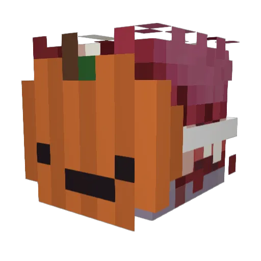 Mini_Bombus Minecraft avatar head, 3D render