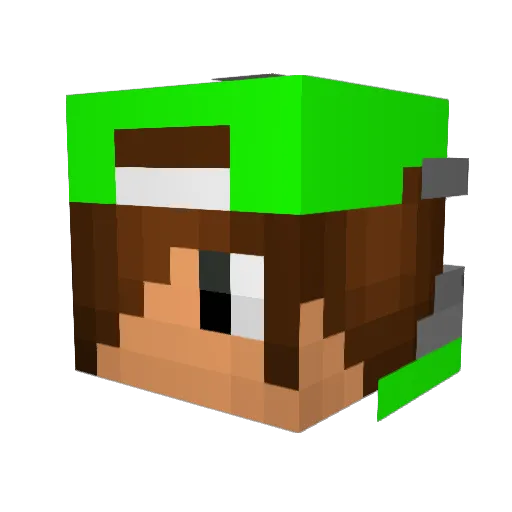 Mini_Crafter2205 Minecraft avatar head, 3D render