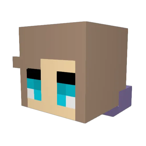 Mini_Didi Minecraft avatar head, 3D render