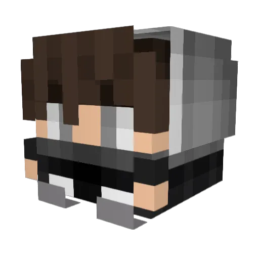Mini_Ibimsi Minecraft avatar head, 3D render