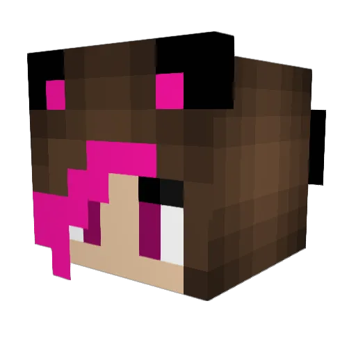 Minicha07 Minecraft avatar head, 3D render