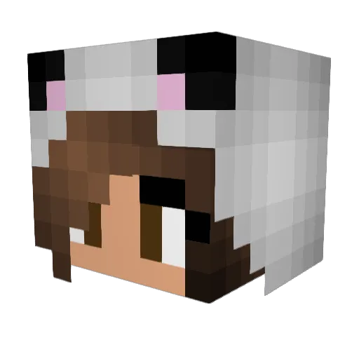 MiniePlaysMC Minecraft avatar head, 3D render