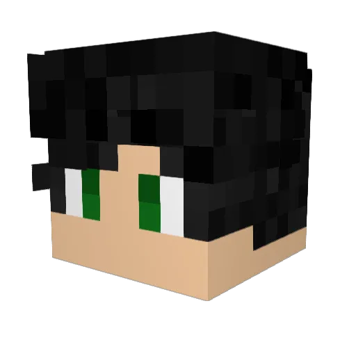 Minifo501 Minecraft avatar head, 3D render