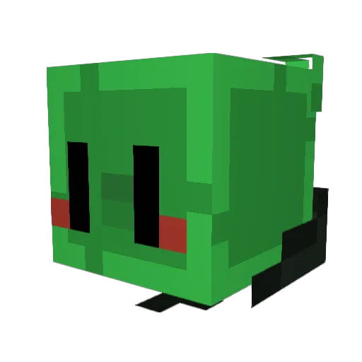 Minigiant102 Minecraft avatar head, 3D render