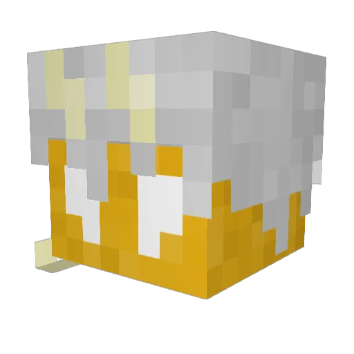 Minikitty442 Minecraft avatar head, 3D render