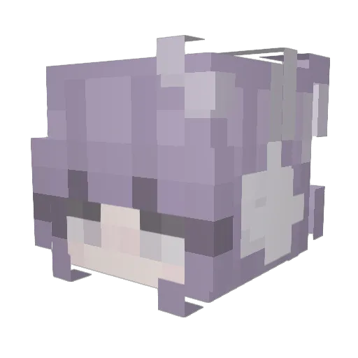 Minikiwi1 Minecraft avatar head, 3D render