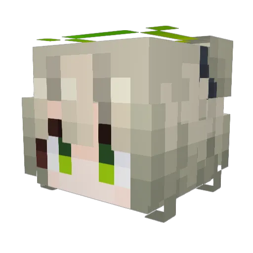 Minima_0731 Minecraft avatar head, 3D render