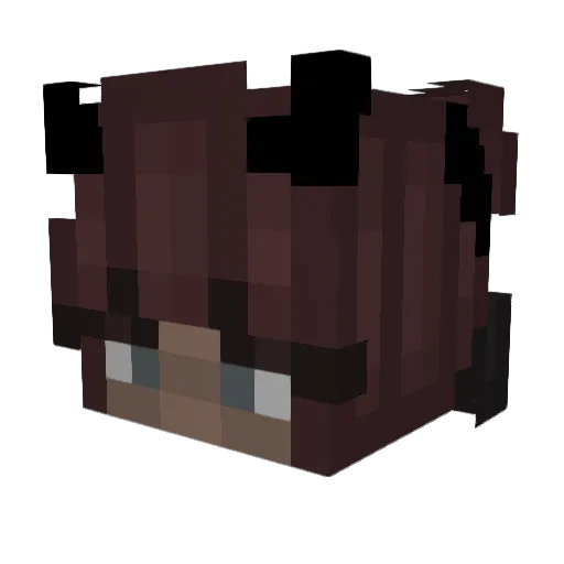 Minimaster_12 Minecraft avatar head, 3D render