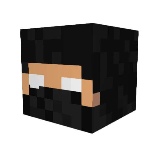 Minimatt2984 Minecraft avatar head, 3D render