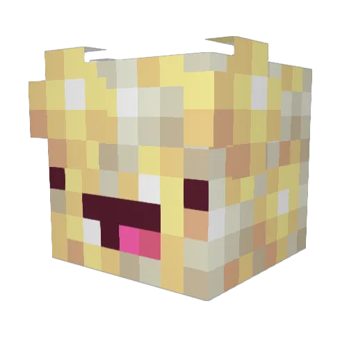 Miniminipopcorn Minecraft avatar head, 3D render