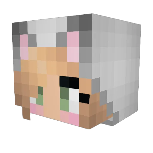 Minimoomoo1 Minecraft avatar head, 3D render