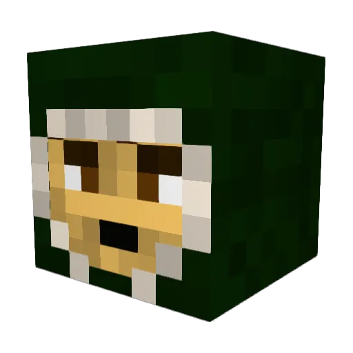 MiningBear123 Minecraft avatar head, 3D render