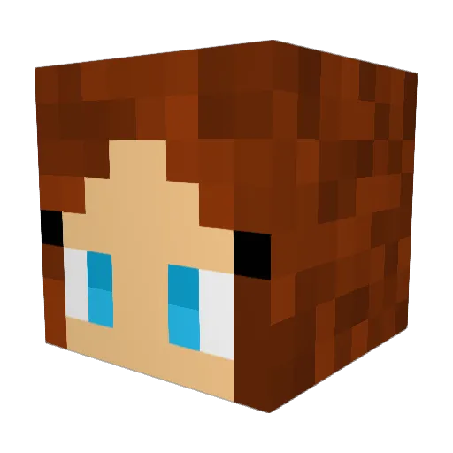 MiningForDaisies Minecraft avatar head, 3D render
